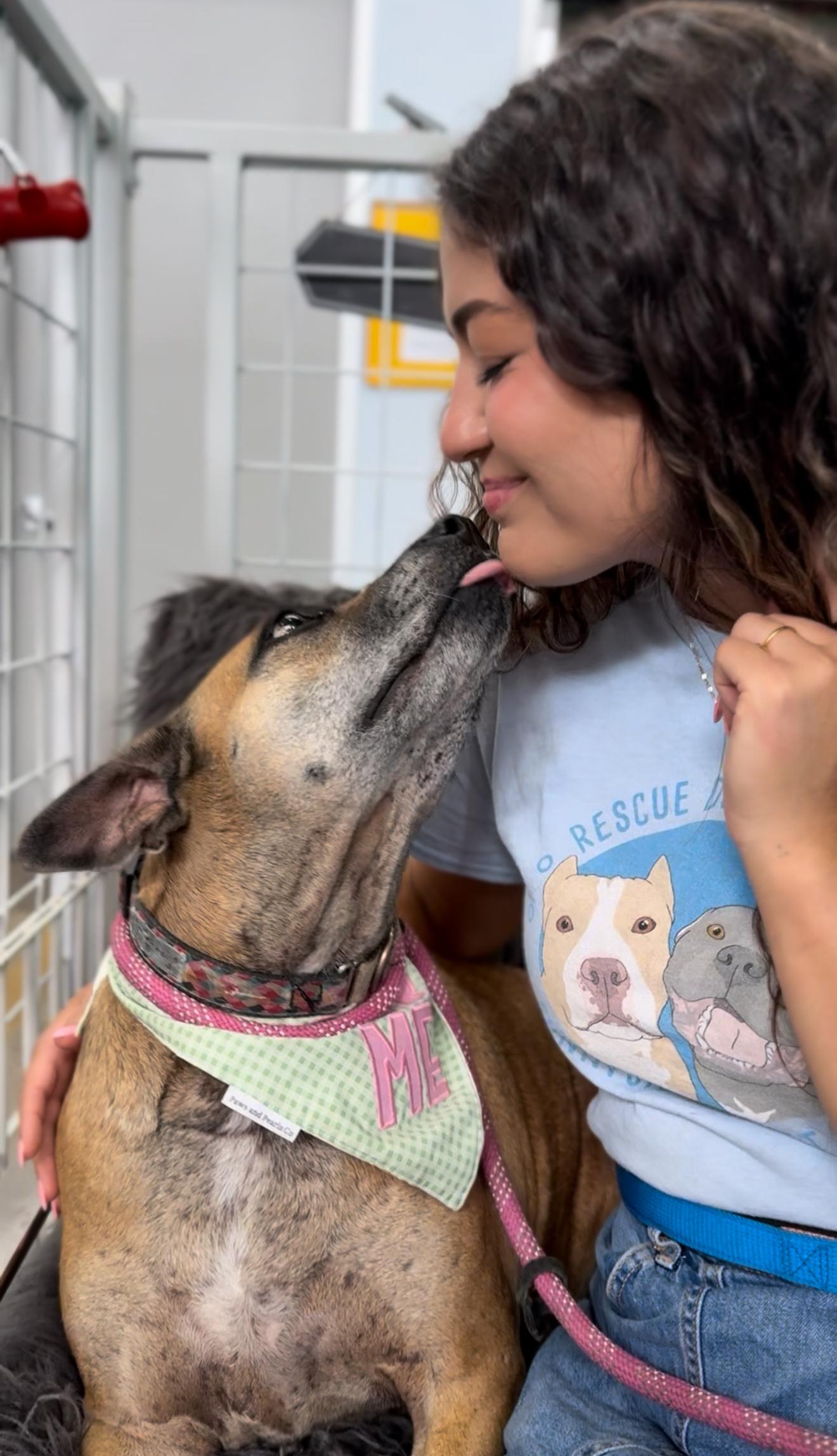 Momma, a Adoptable mixed breed in Austin, TX image 3/6