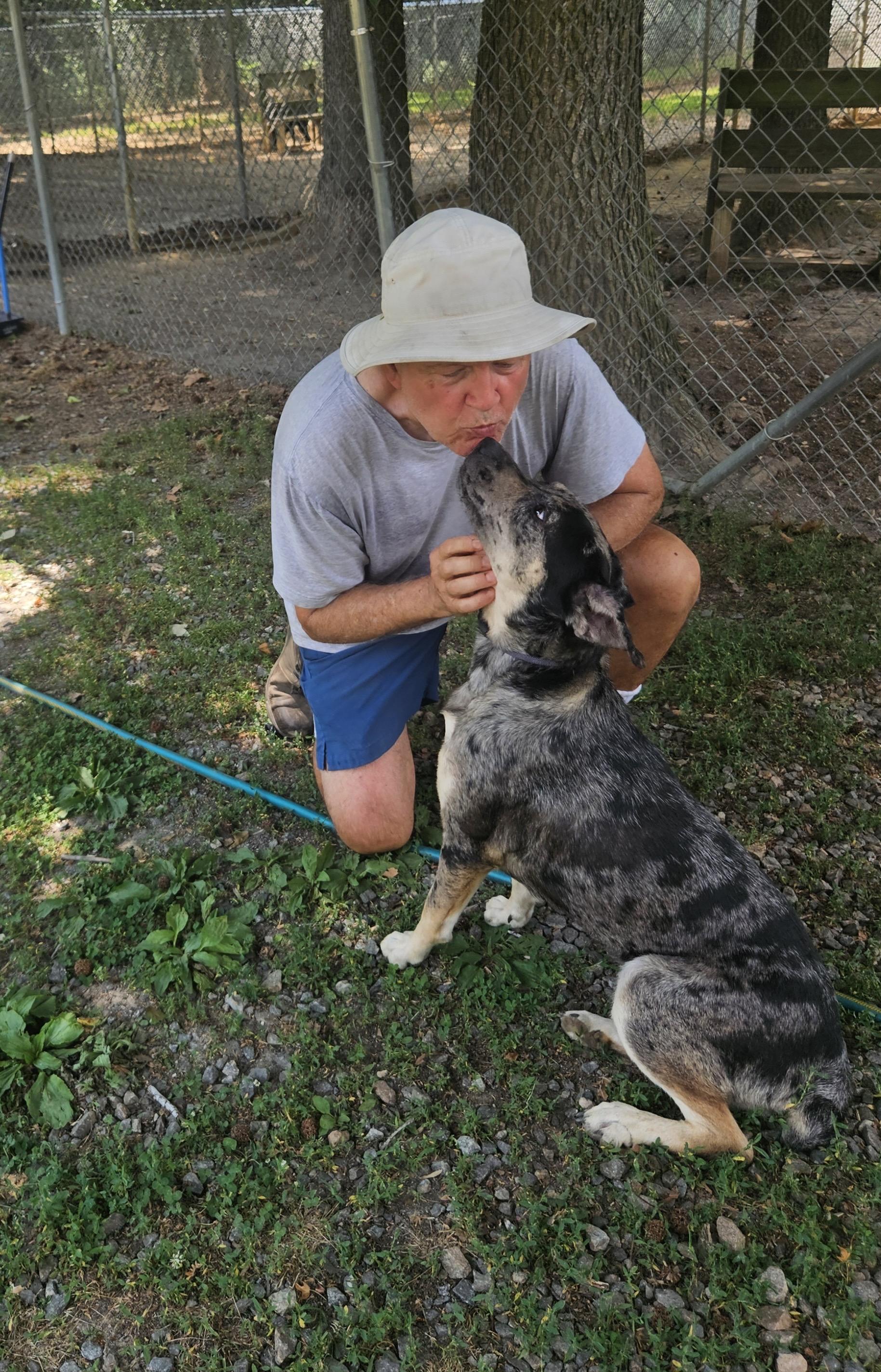 Velma, an adopted mixed breed in Heathsville, VA image 2/5