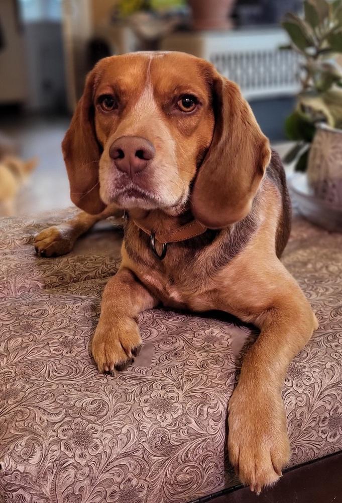 Tracker — thumbnail 2