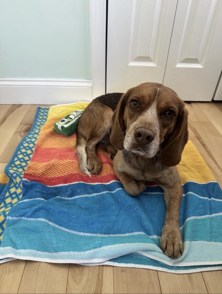 Tracker — thumbnail 4