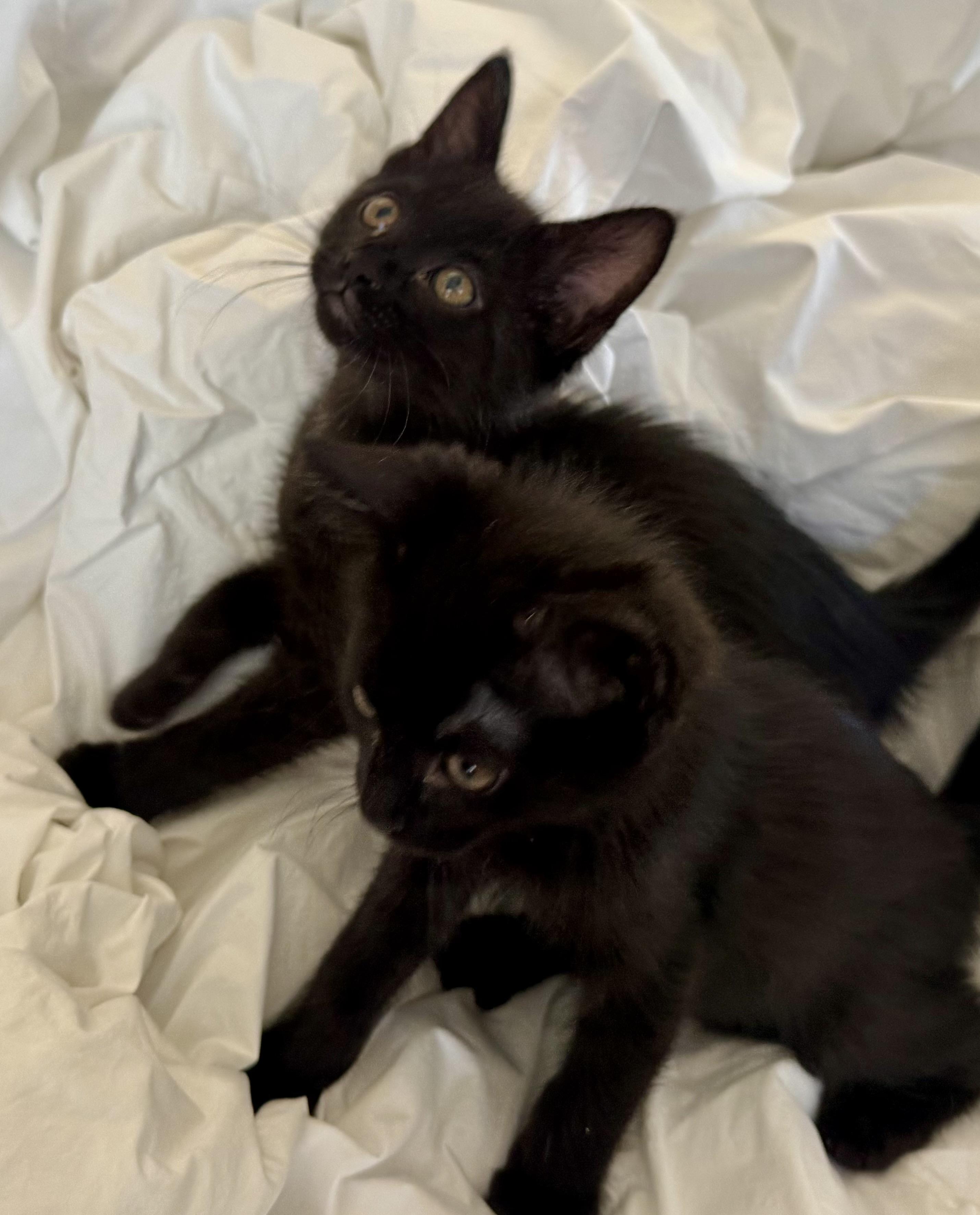 Sabrina and Percy photo 2