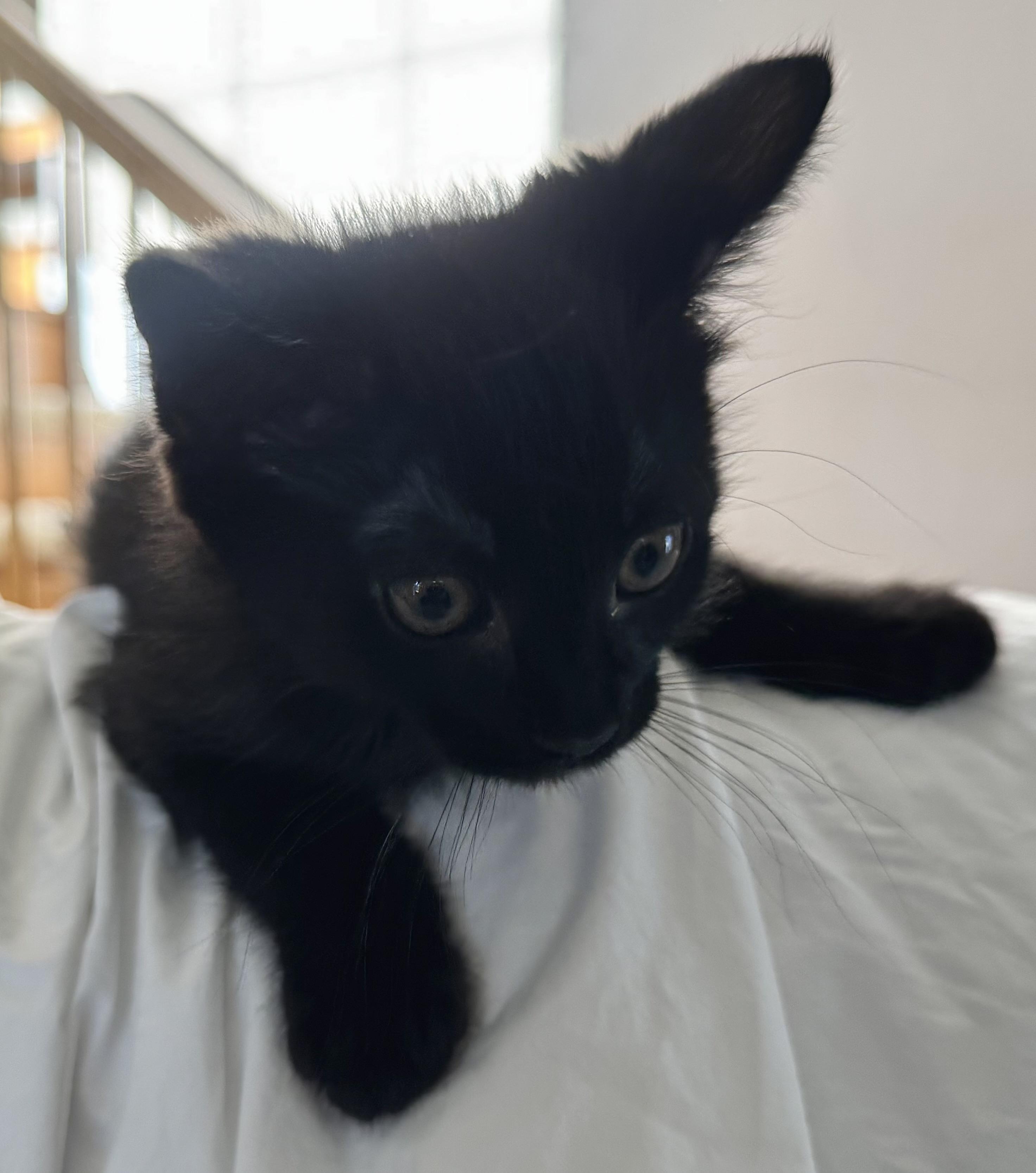 Sabrina and Percy photo 3