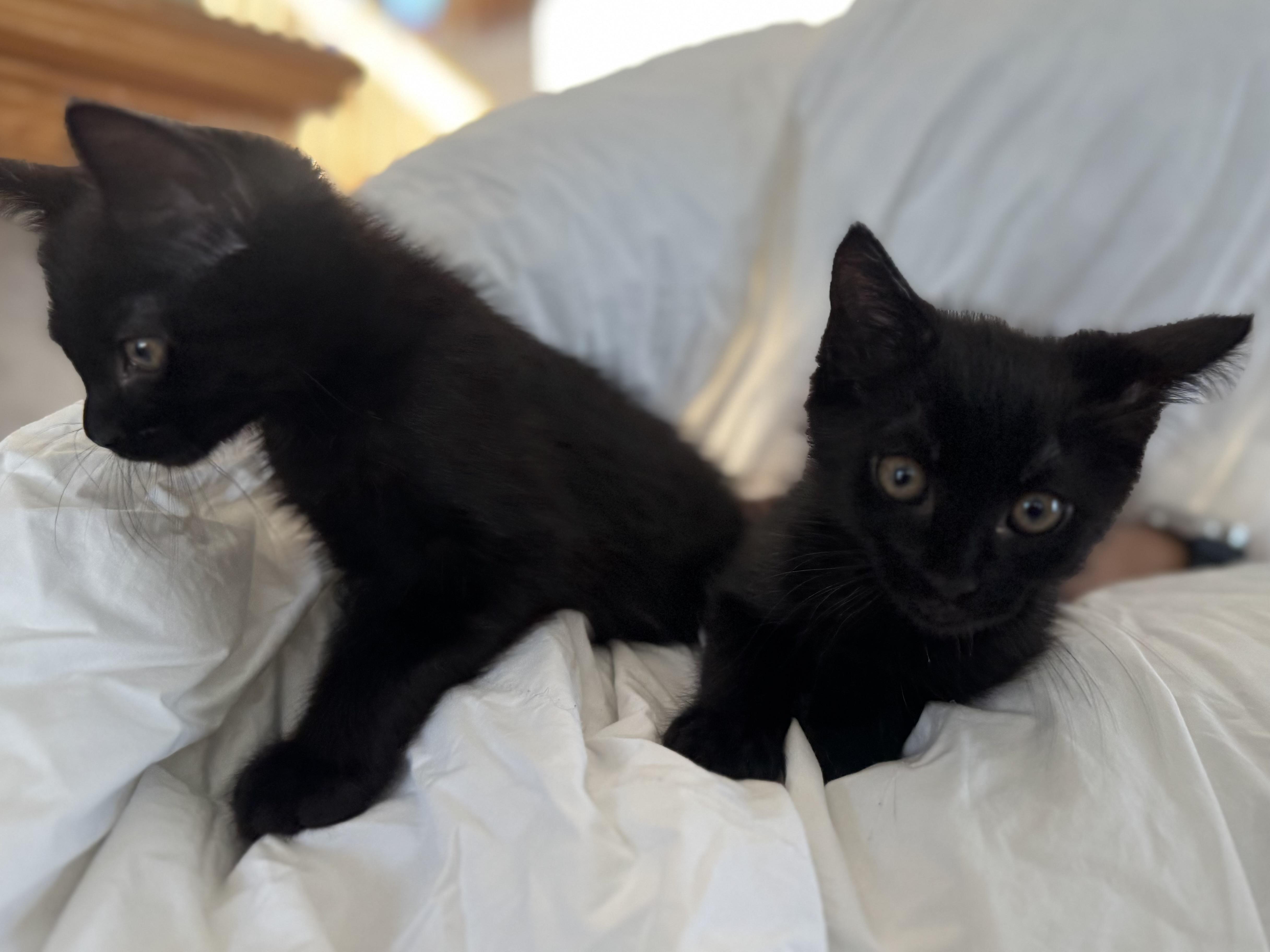 Sabrina and Percy photo 5
