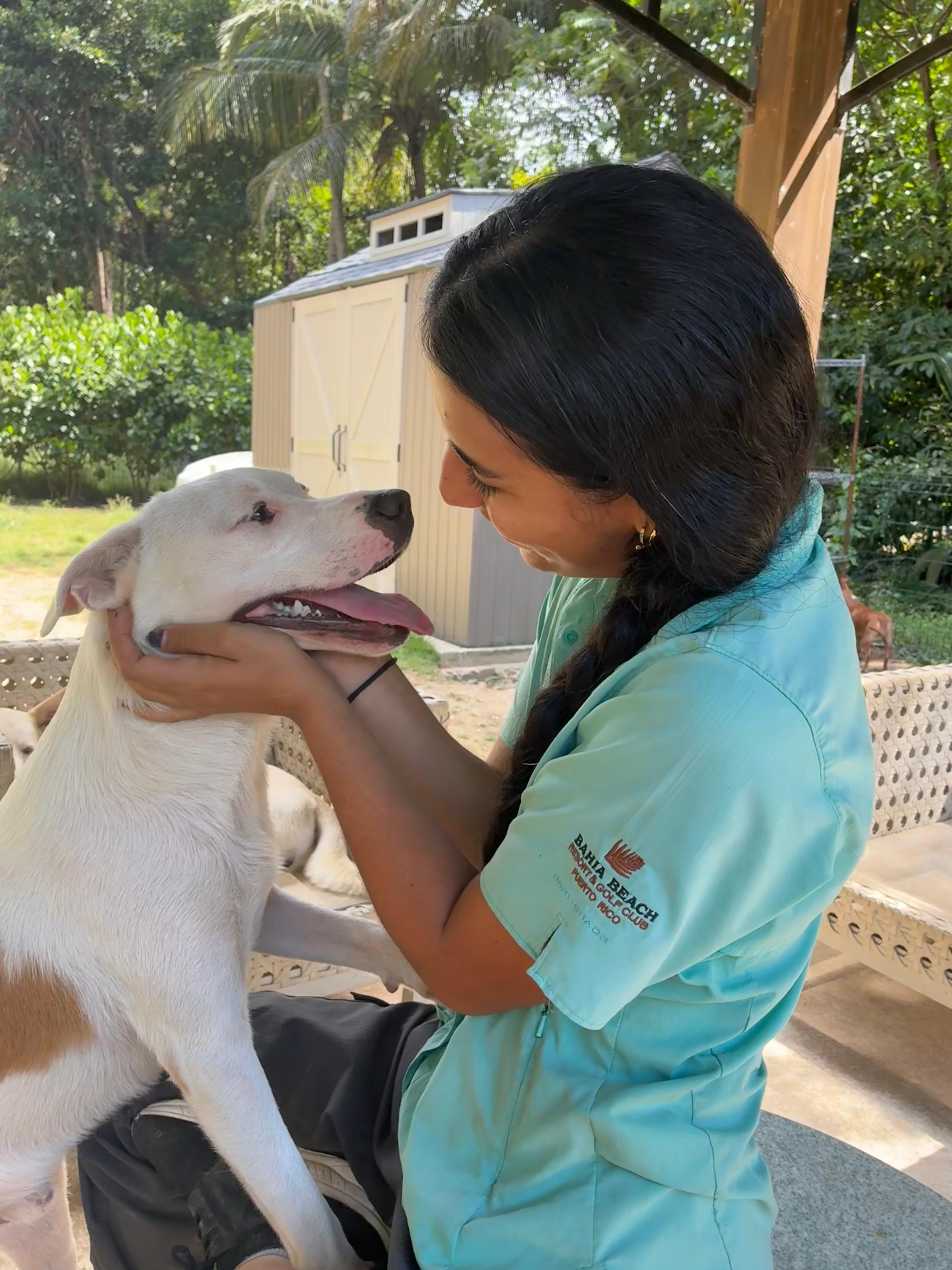 Enlarge Gaspar, a Adoptable mixed breed in Rio Grande , PR image 3/5
