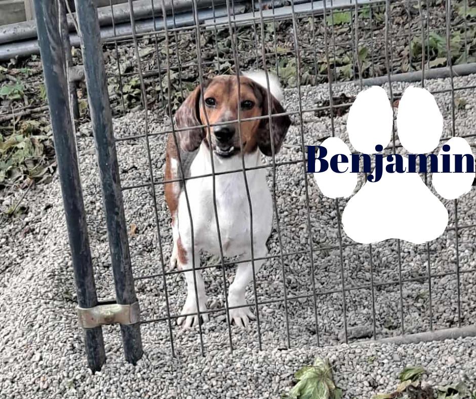 Benjamin