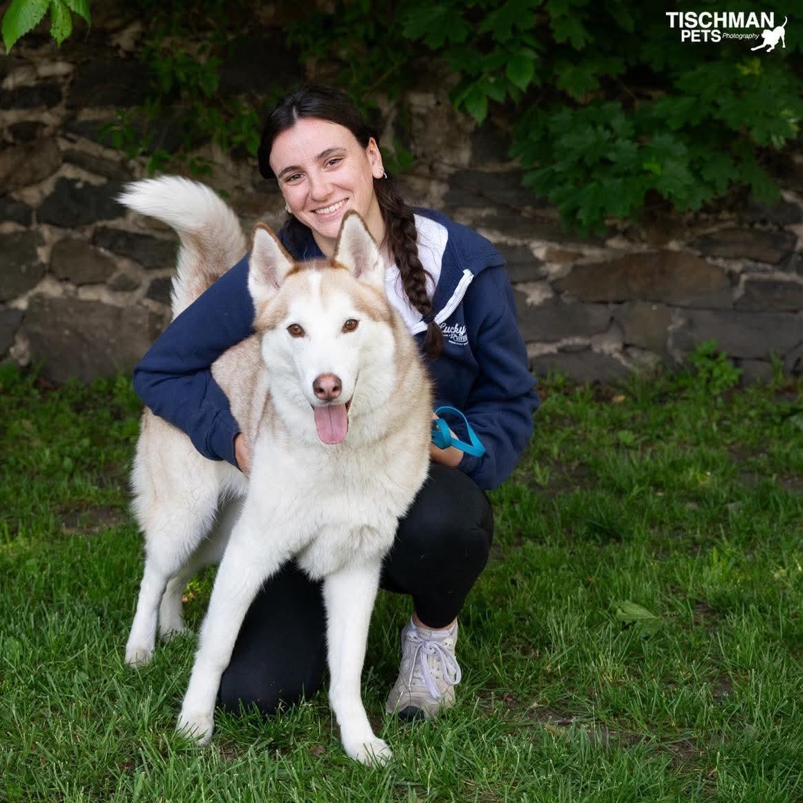 Enlarge ANGEL, an adopted Husky in Stamford, CT image 1/6