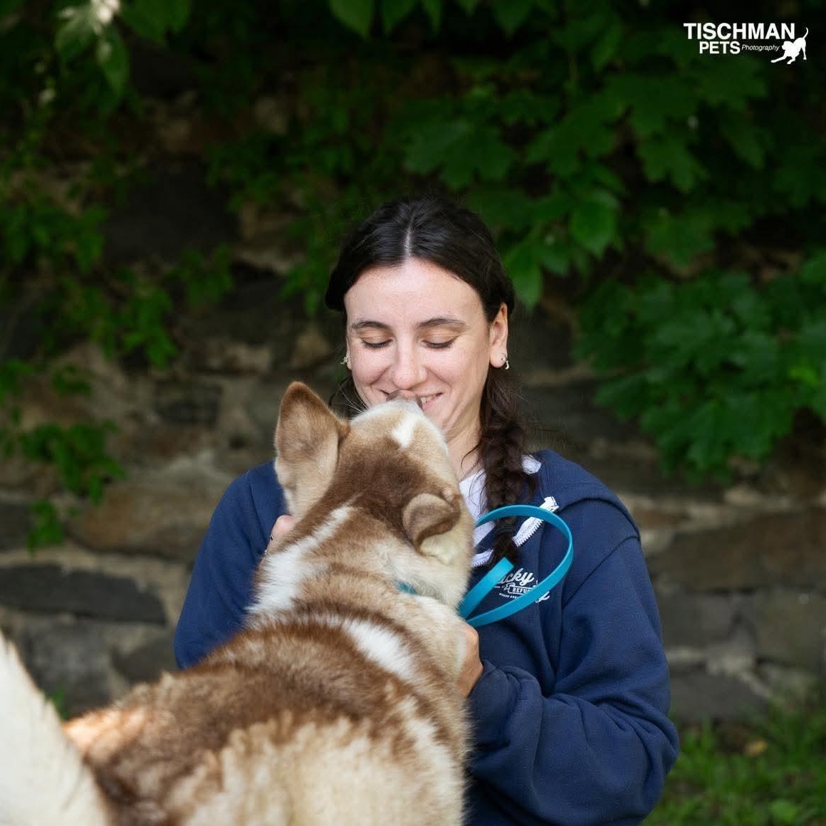 Enlarge ANGEL, an adopted Husky in Stamford, CT image 4/6