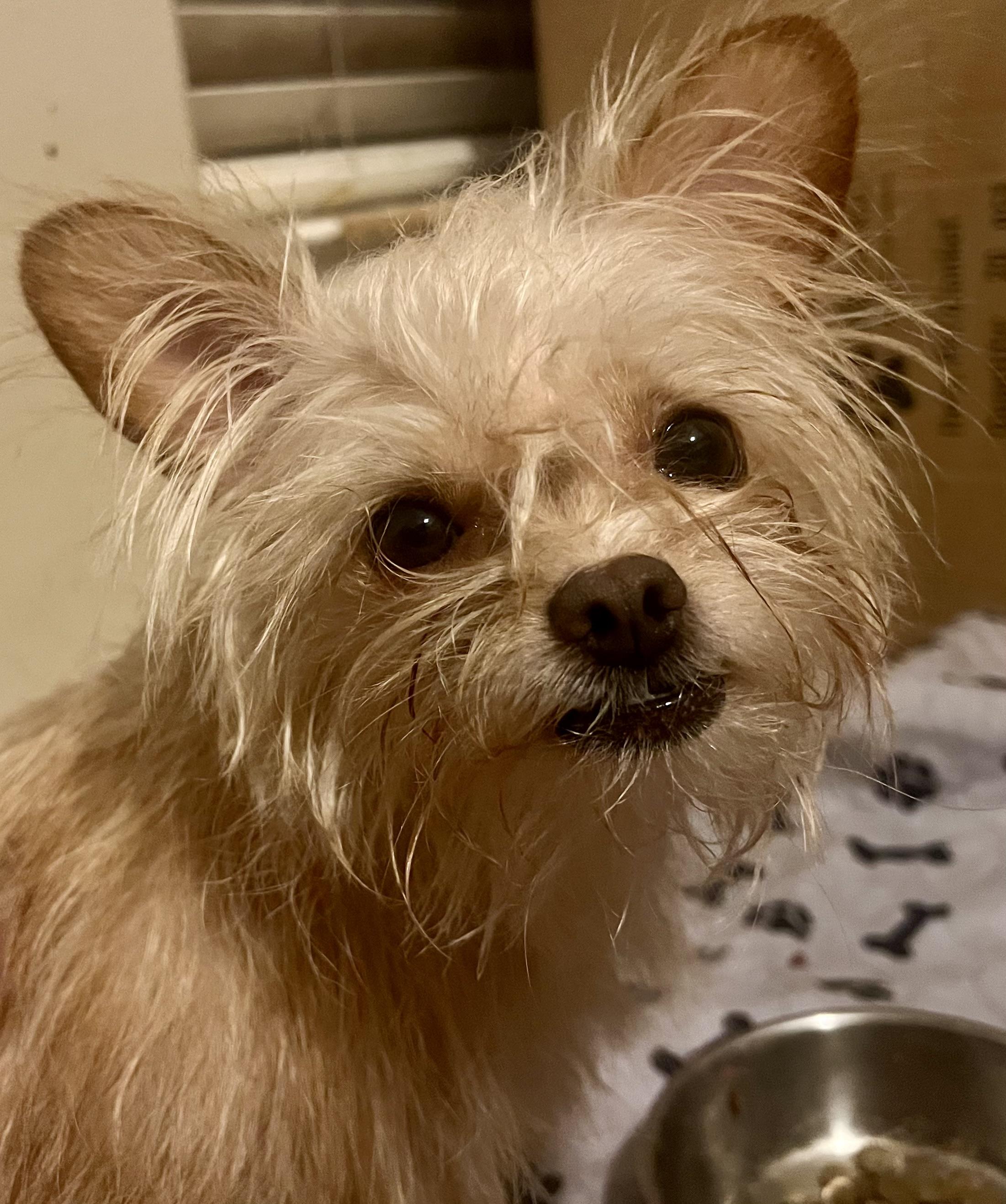 Melody (Coming Soon)