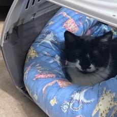 Charity — thumbnail 2