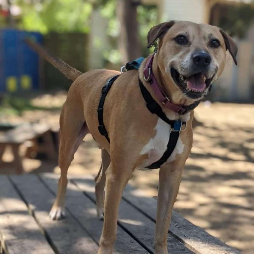 Julio — thumbnail 5