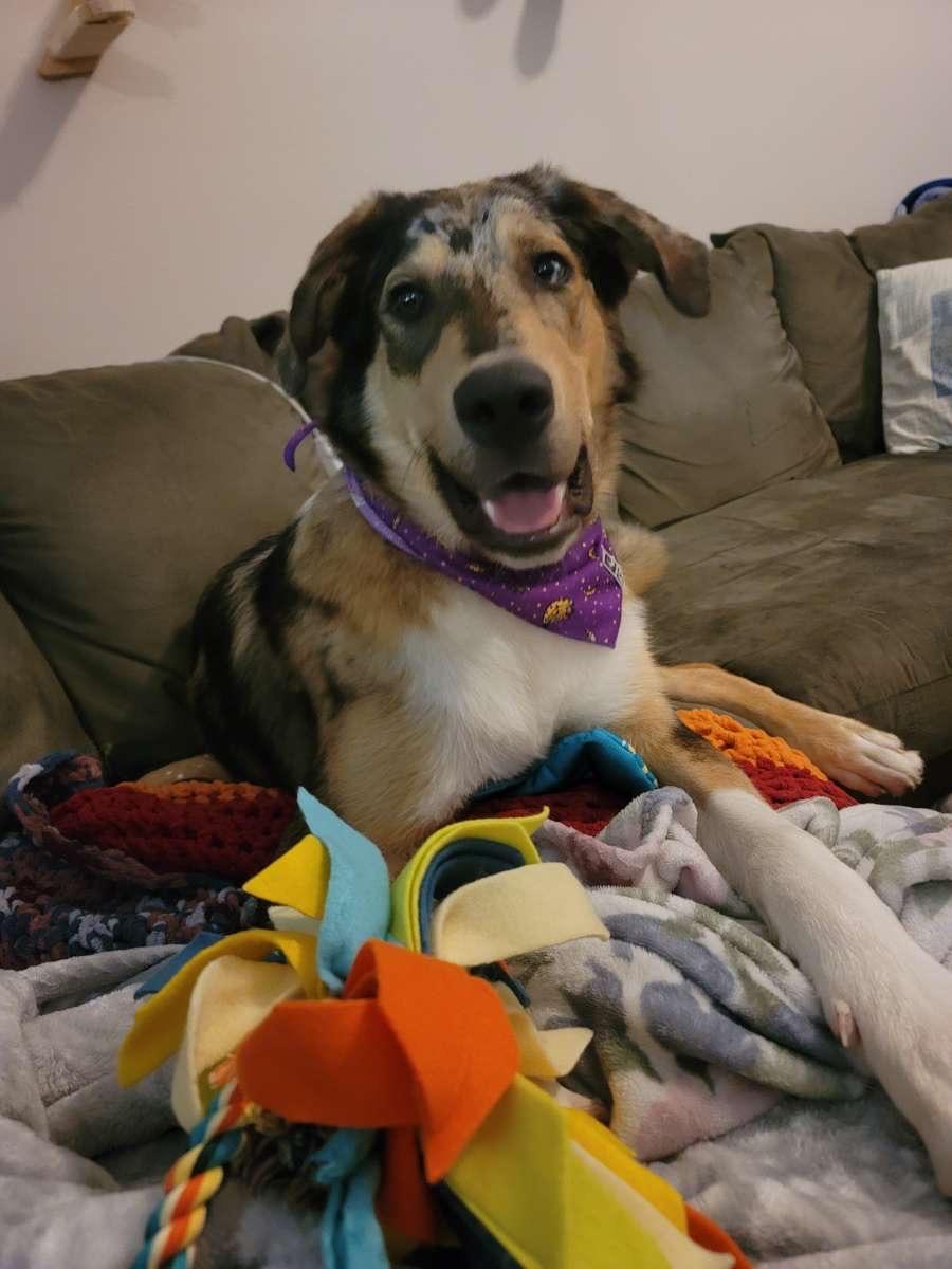Kenai