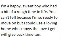 Diego, a Adoptable mixed breed image 2/4