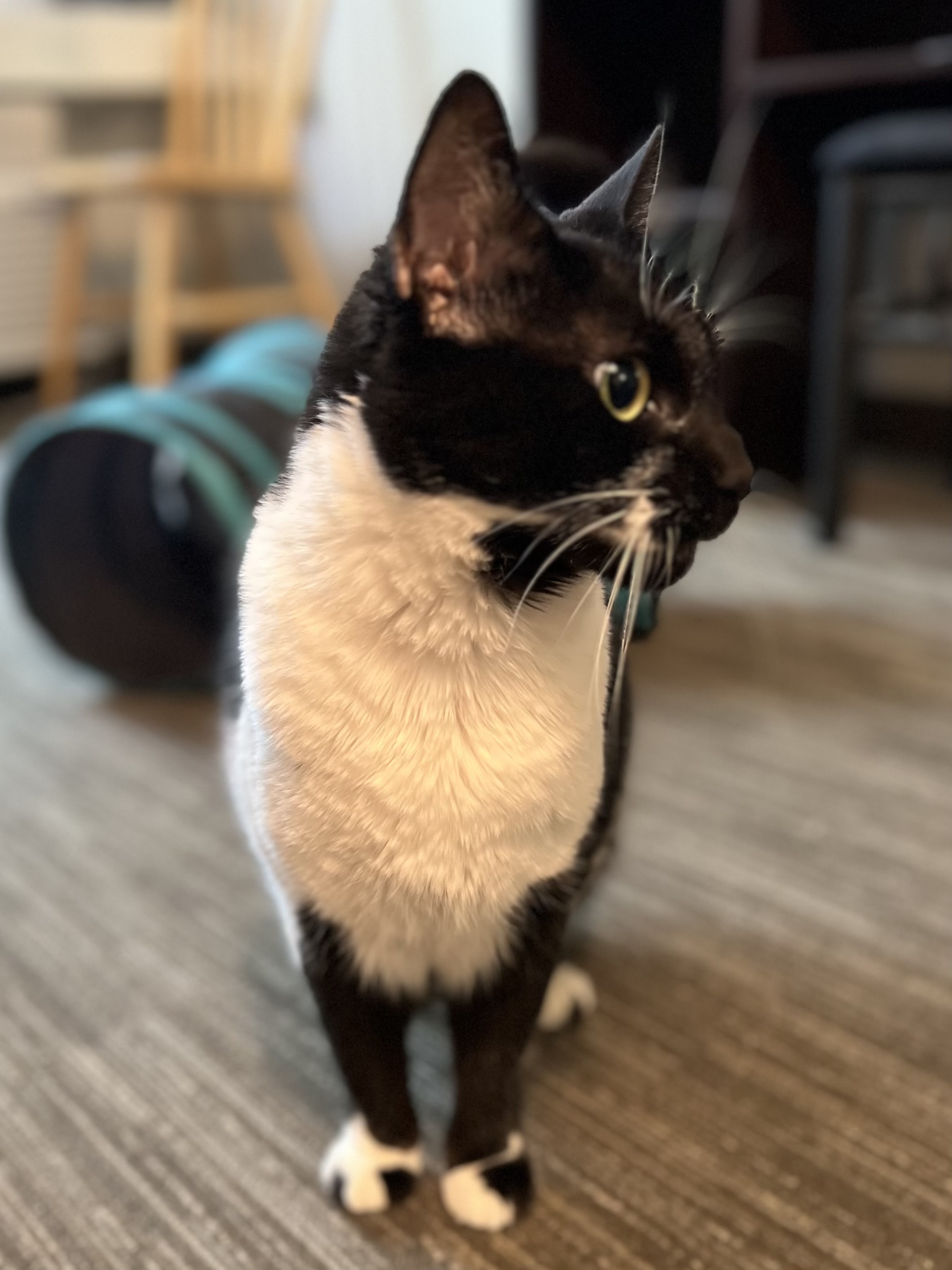 Charlie photo 2