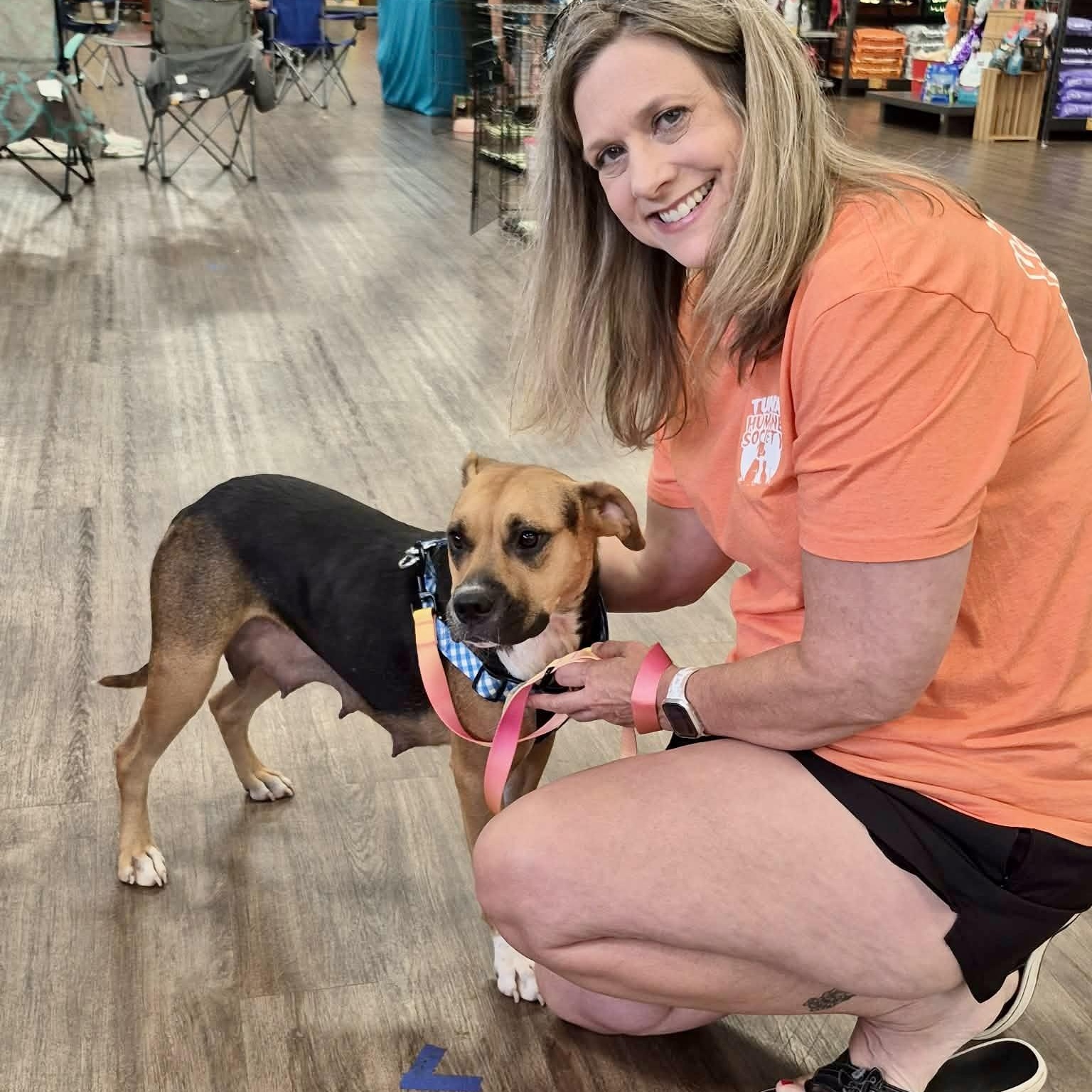 Enlarge Trudy, an adopted mixed breed in Southaven , MS image 2/5