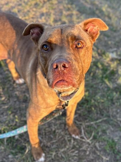 Reese — thumbnail 2