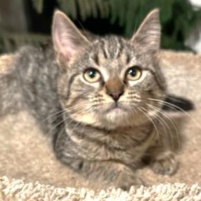 STUNNING SELENA - SWEET SOFTNESS!