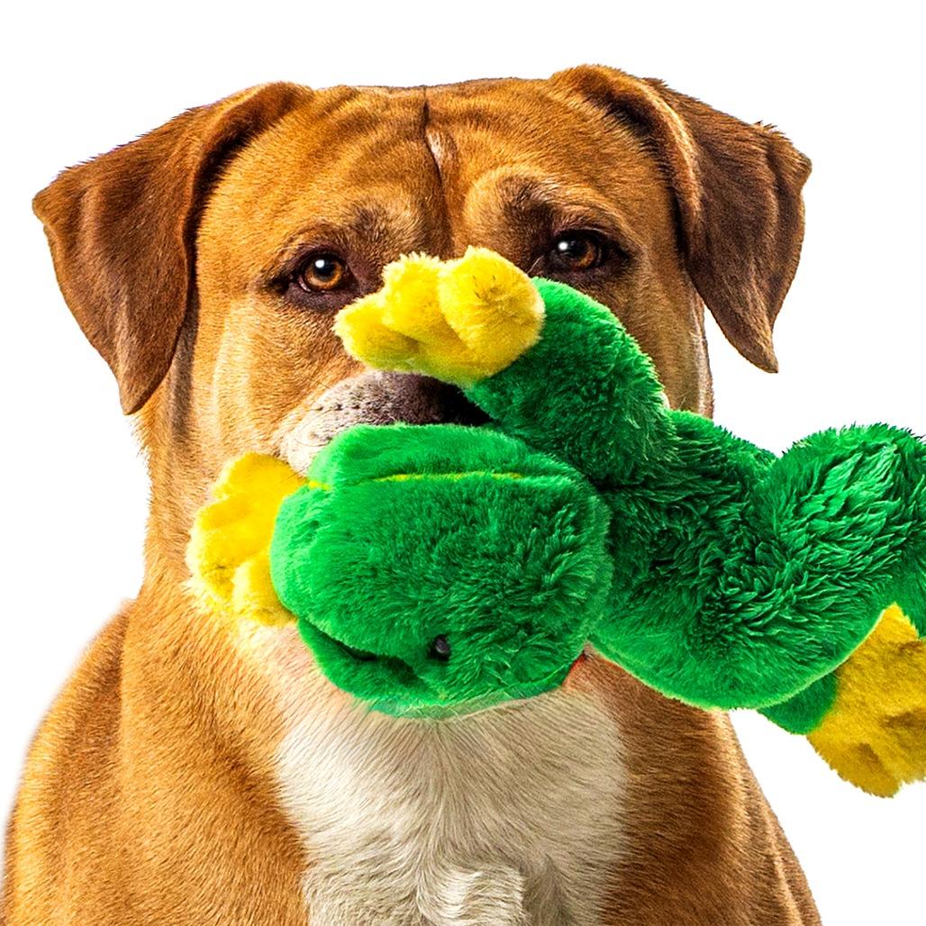 Enlarge Knight, a Adoptable Bullmastiff in Reno, NV image 4/6