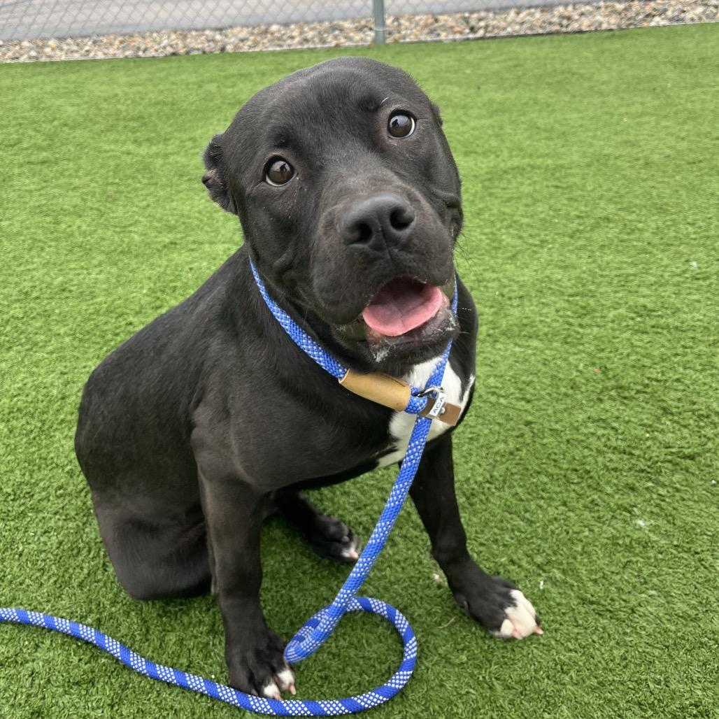 Carmen — thumbnail 6