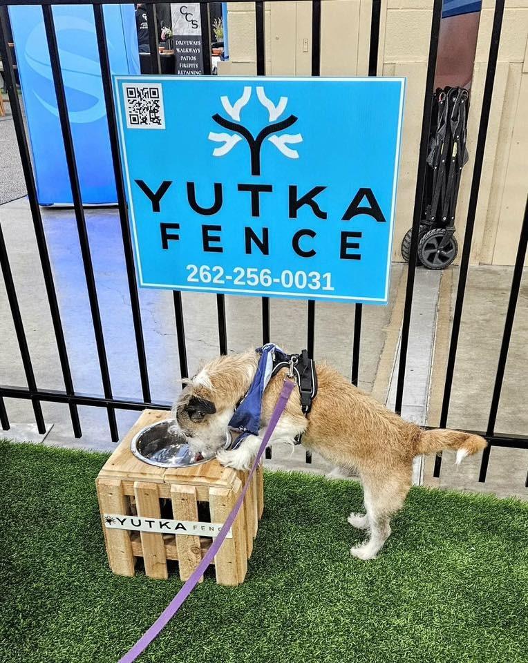 Enlarge Bailey $450, a Adoptable mixed breed in Milwaukee, WI image 3/5