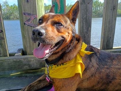 Bendy — thumbnail 2