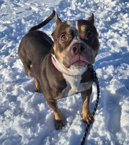 Shiniah — thumbnail 2