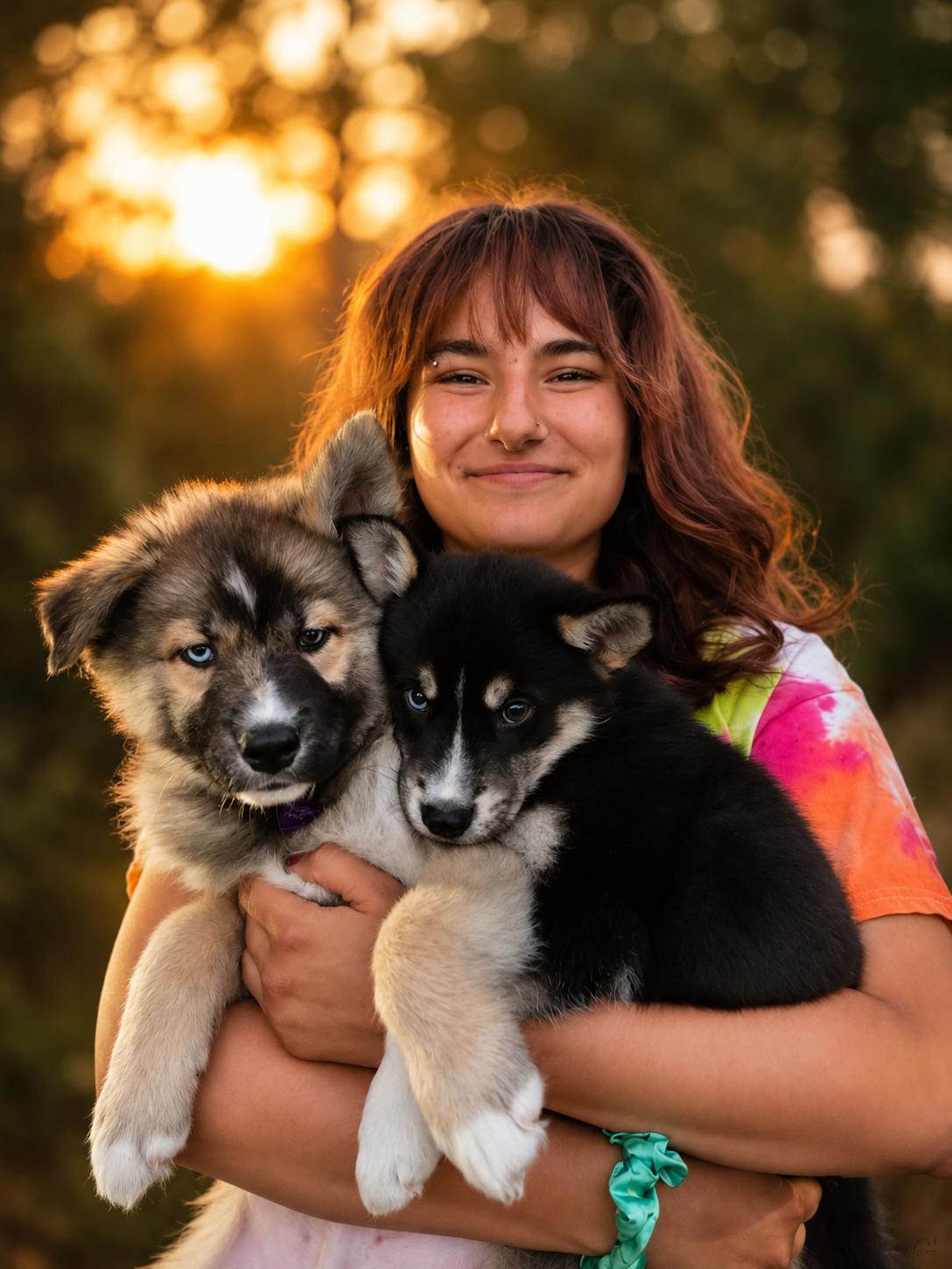 Danzig, a ADOPTABLE mixed breed in Murrieta, CA image 5/5