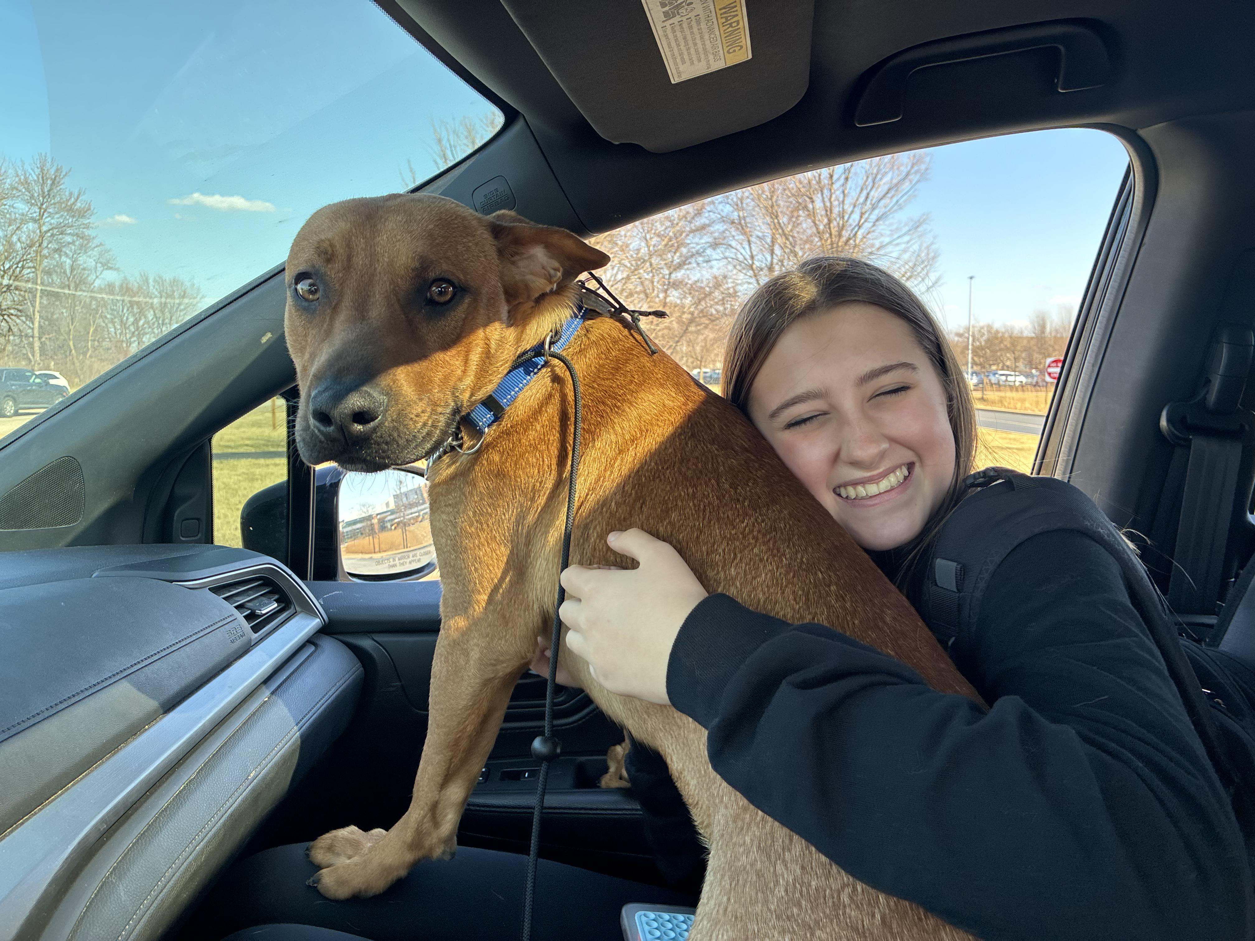 Enlarge Fred, a ADOPTABLE mixed breed in Joliet, IL image 3/6