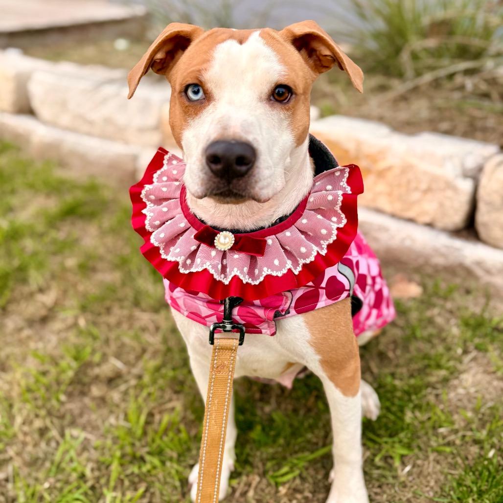 January Eve — thumbnail 5