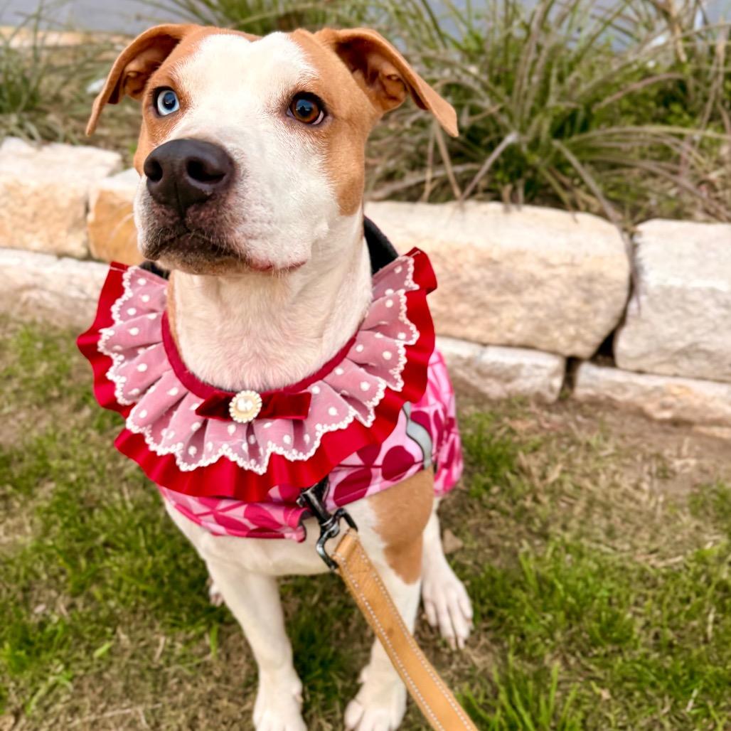 January Eve — thumbnail 6