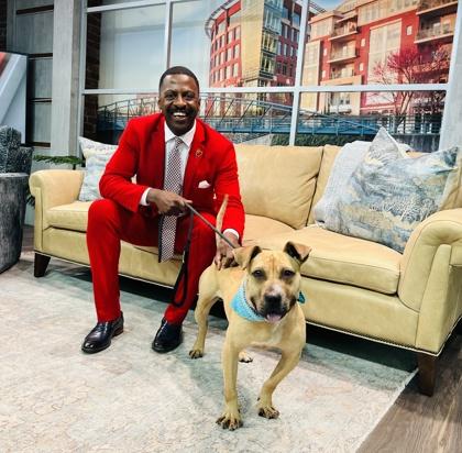 Jimmy Chew $85 Fostered, Adoptable, Adult Male Mixed Breed & Mixed Breed.