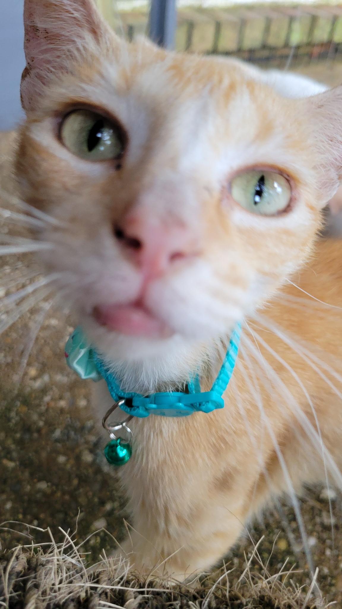 LILLY photo 2