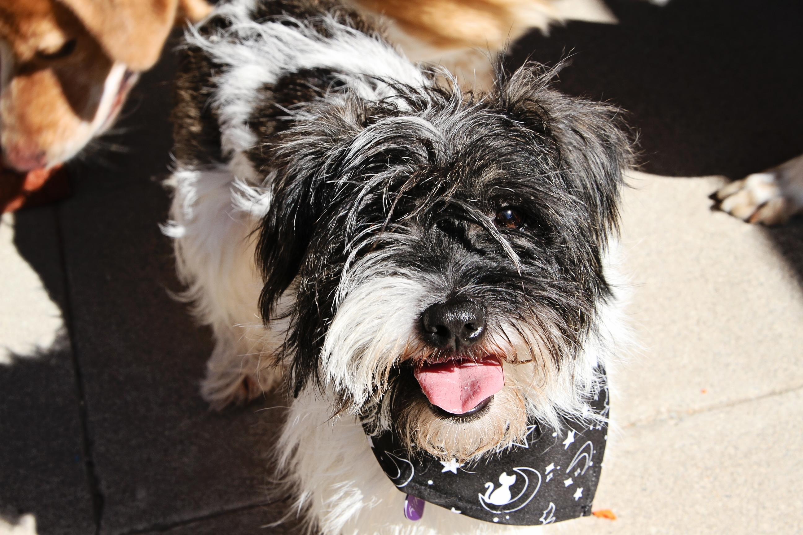 Ricky and Lucy photo 2