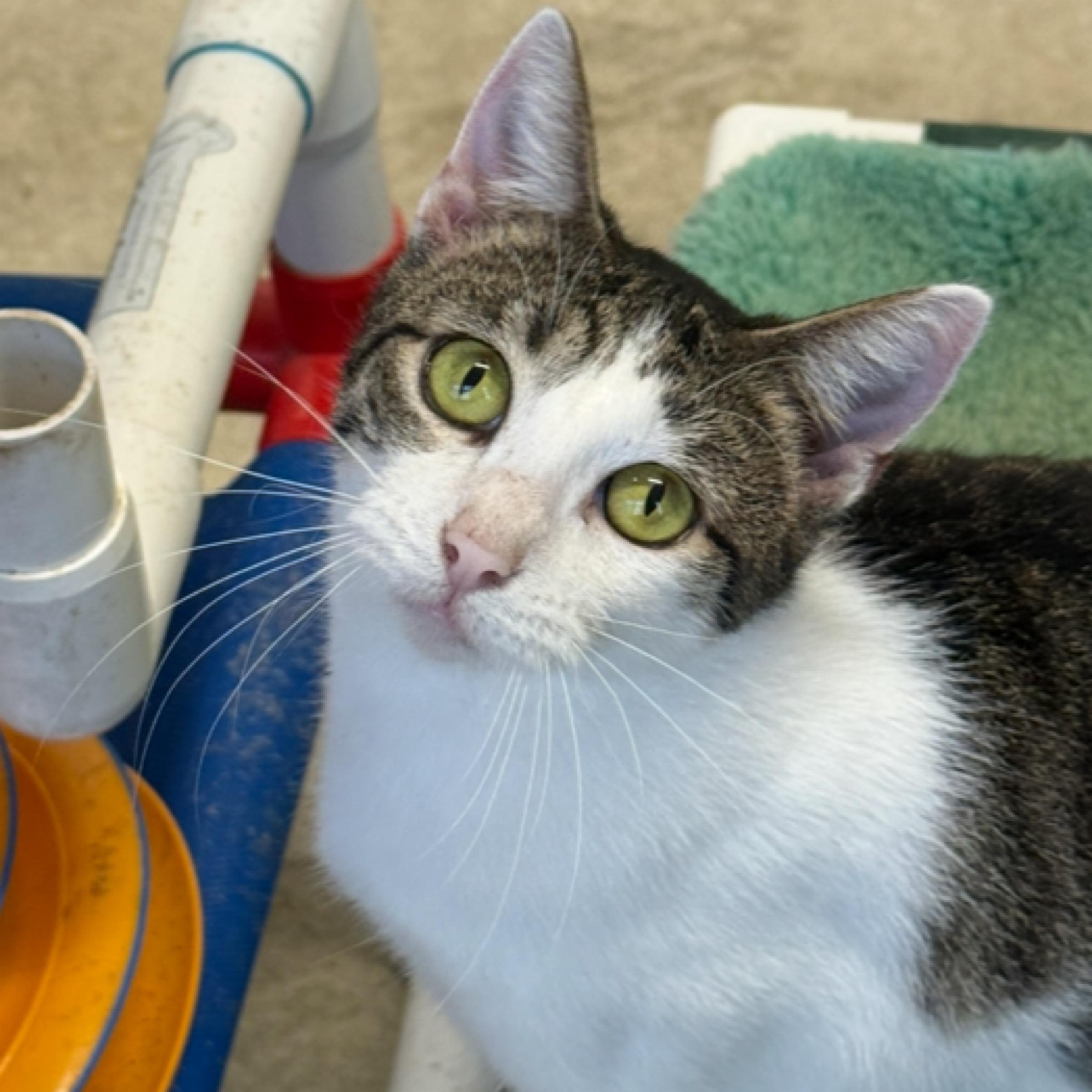 Wilma — thumbnail 2