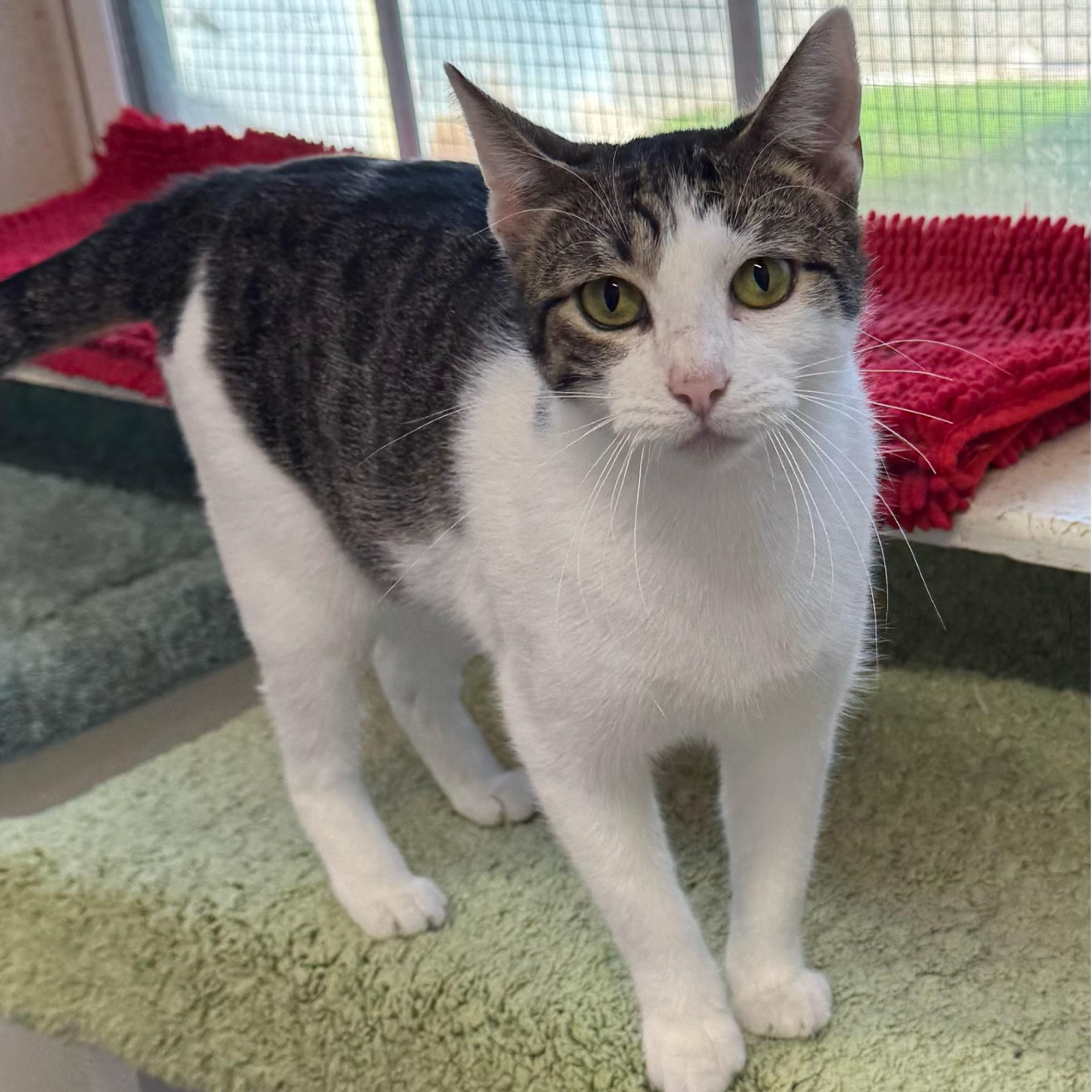 Wilma — thumbnail 5