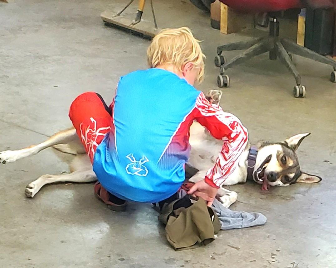 Emmy (silly sweetheart!), a Adoptable mixed breed in Ithaca, NY image 3/6