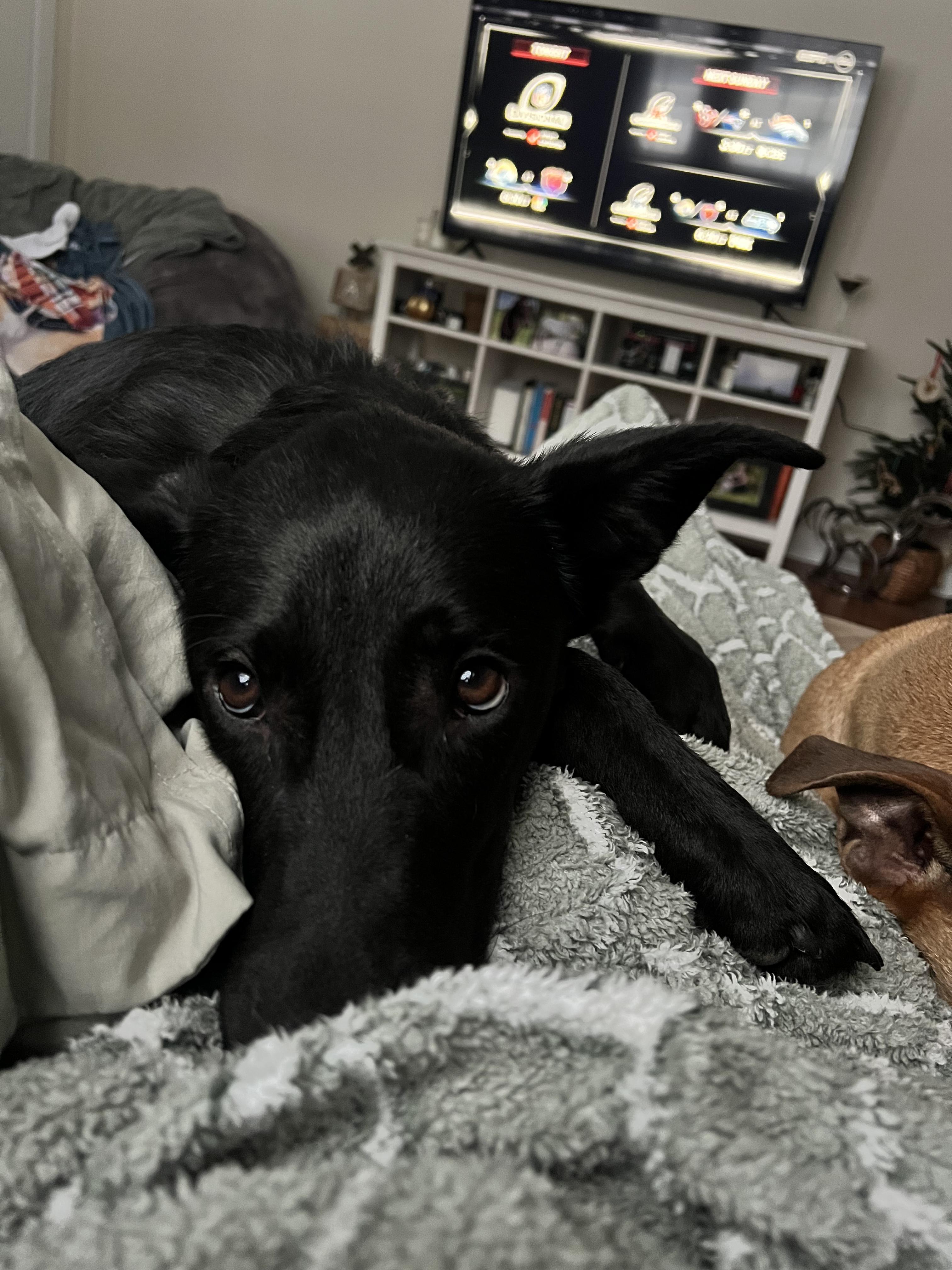 Rocky — thumbnail 5