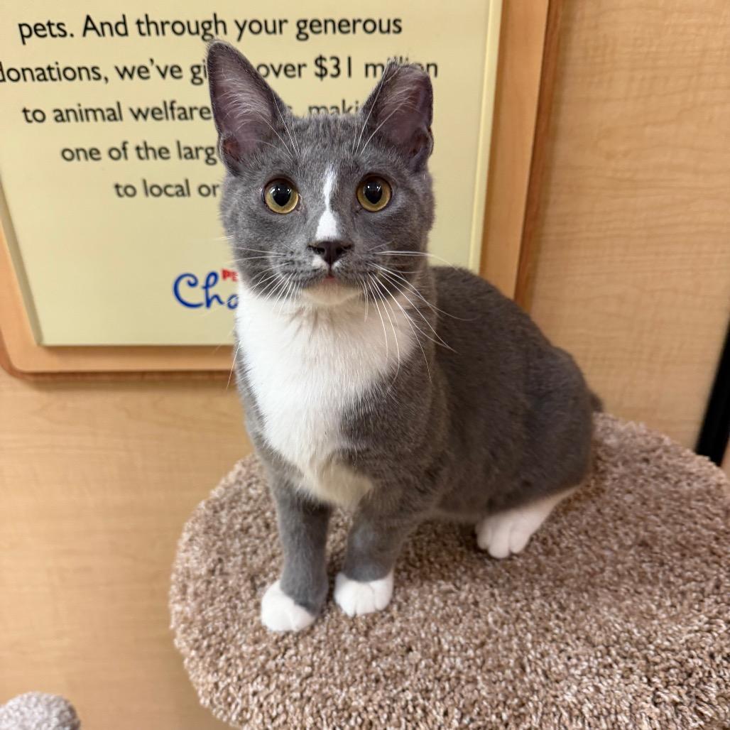 Elmorg — thumbnail 5