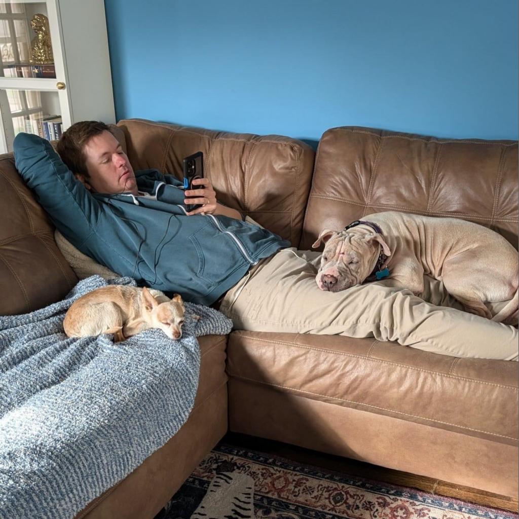 Miss Honey, a Adoptable Shar-Pei in Chicago, IL image 5/6