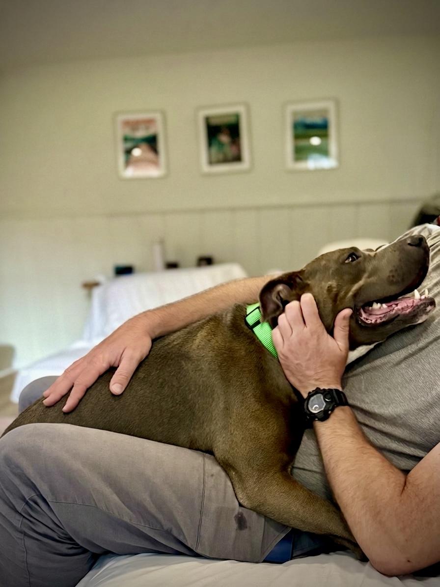 Enlarge Barrel, a Adoptable mixed breed in Westminster, MD image 5/5