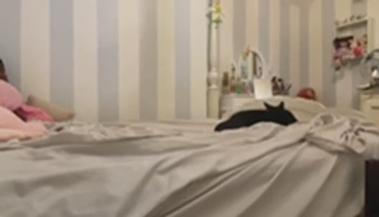 Enlarge Flynn, a Adoptable mixed breed in Columbus, OH video 4/4