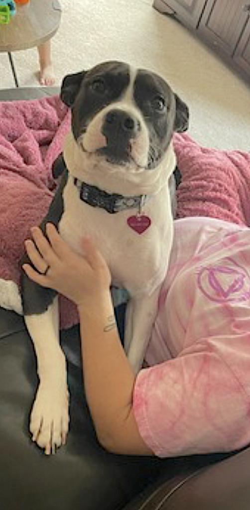 Katie photo 2