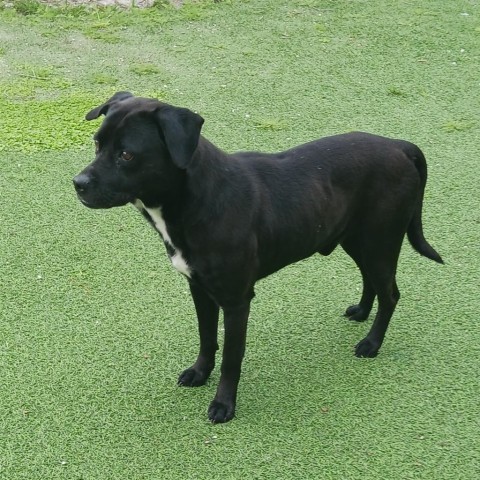 Conroe photo 5