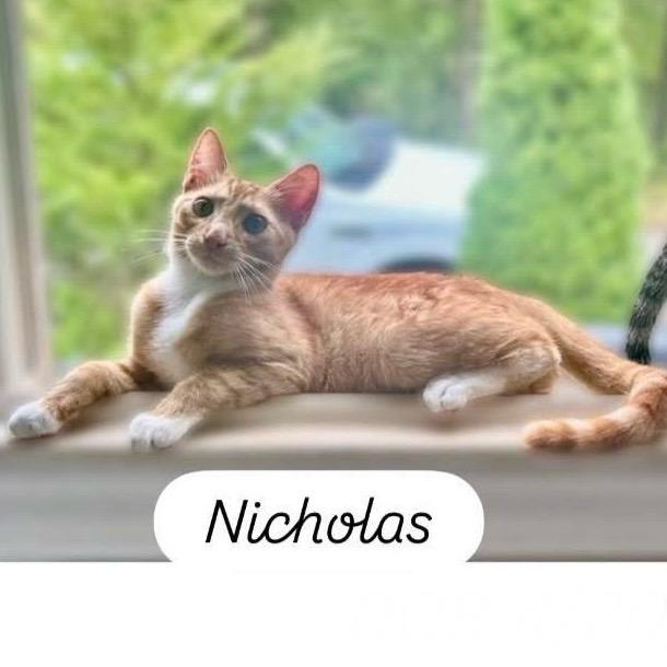 Nicolas
