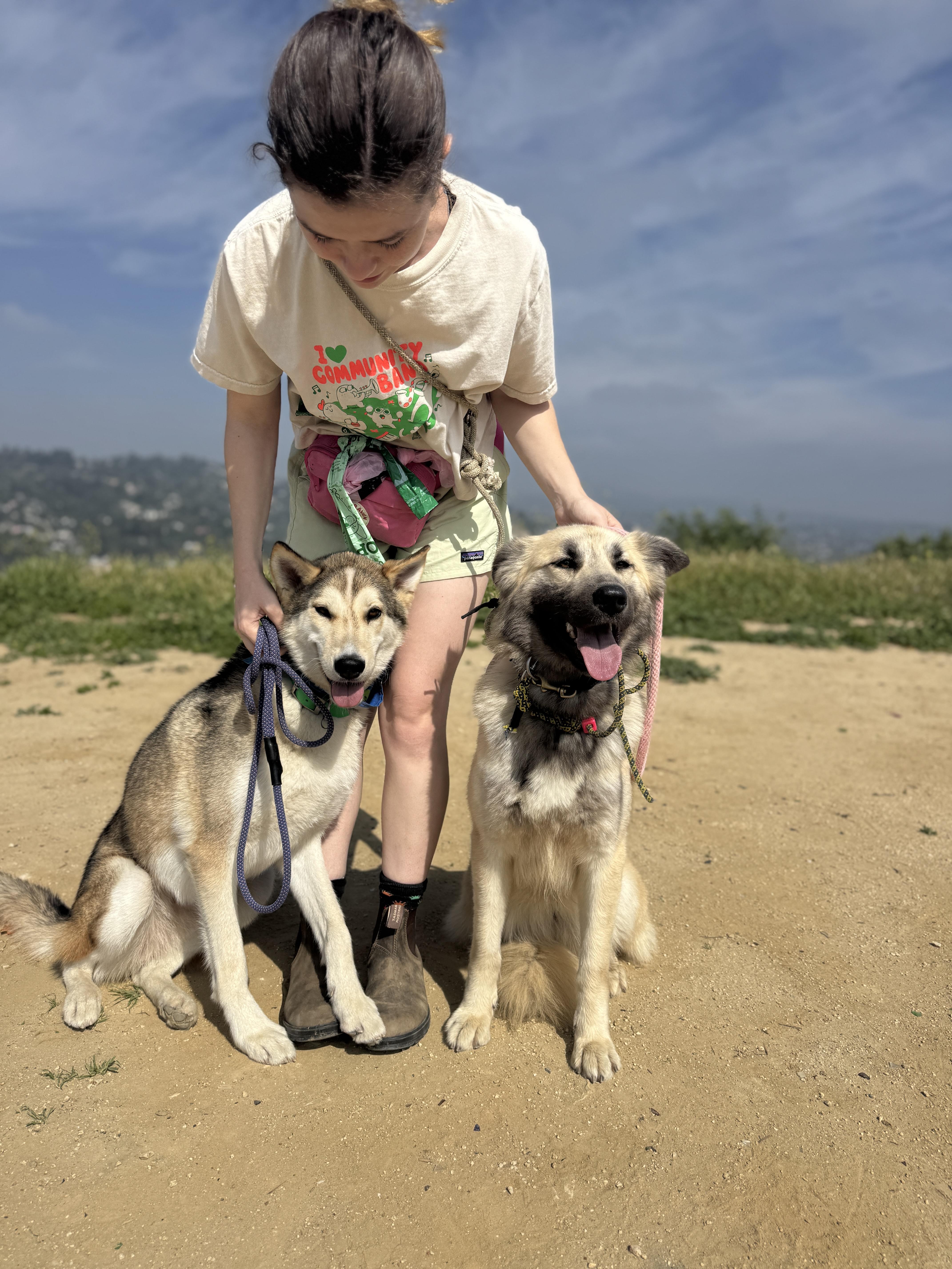 Lalla, a ADOPTABLE mixed breed in Los Angeles, CA image 3/5
