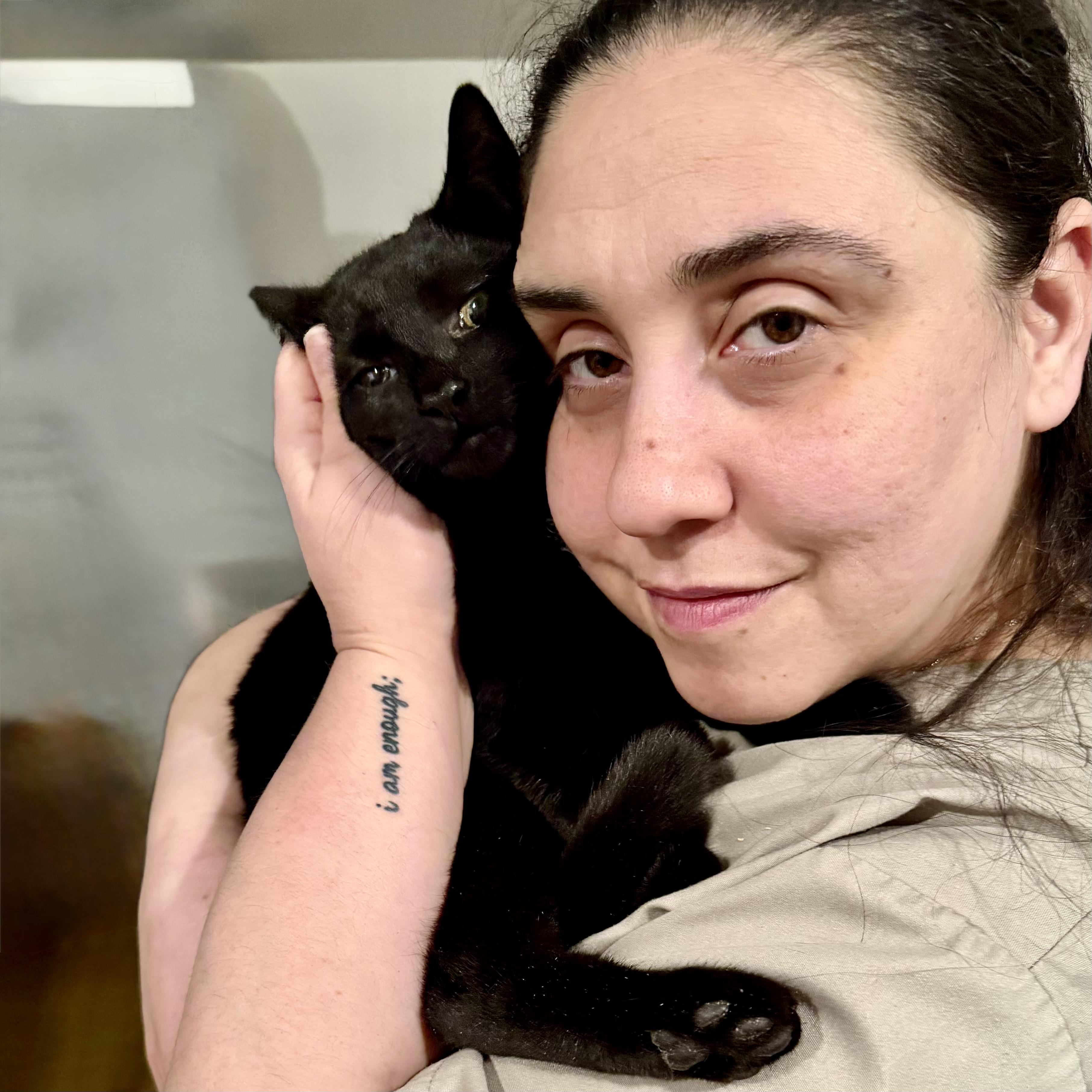 Enlarge LeBron, an adopted Domestic Short Hair in Norwalk, CT image 1/2