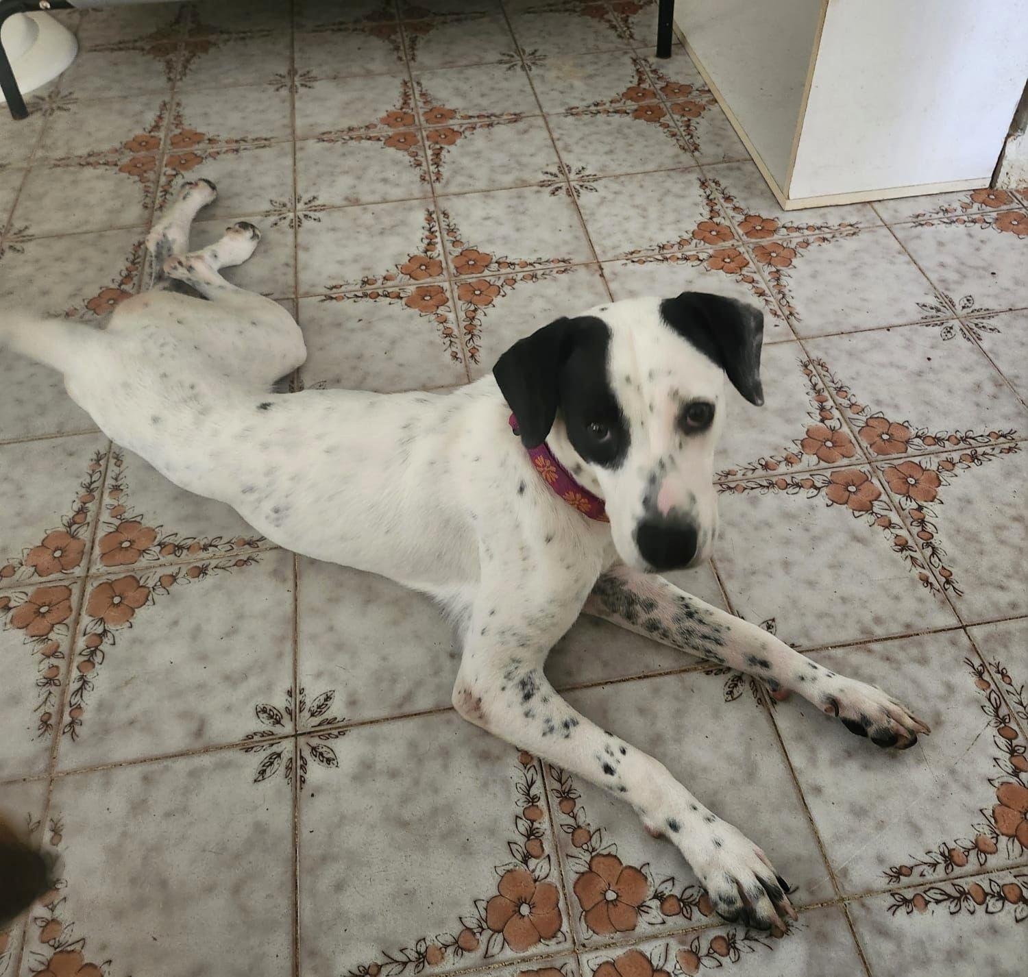 Kasi "your Loyal Bestie." thumbnail 2