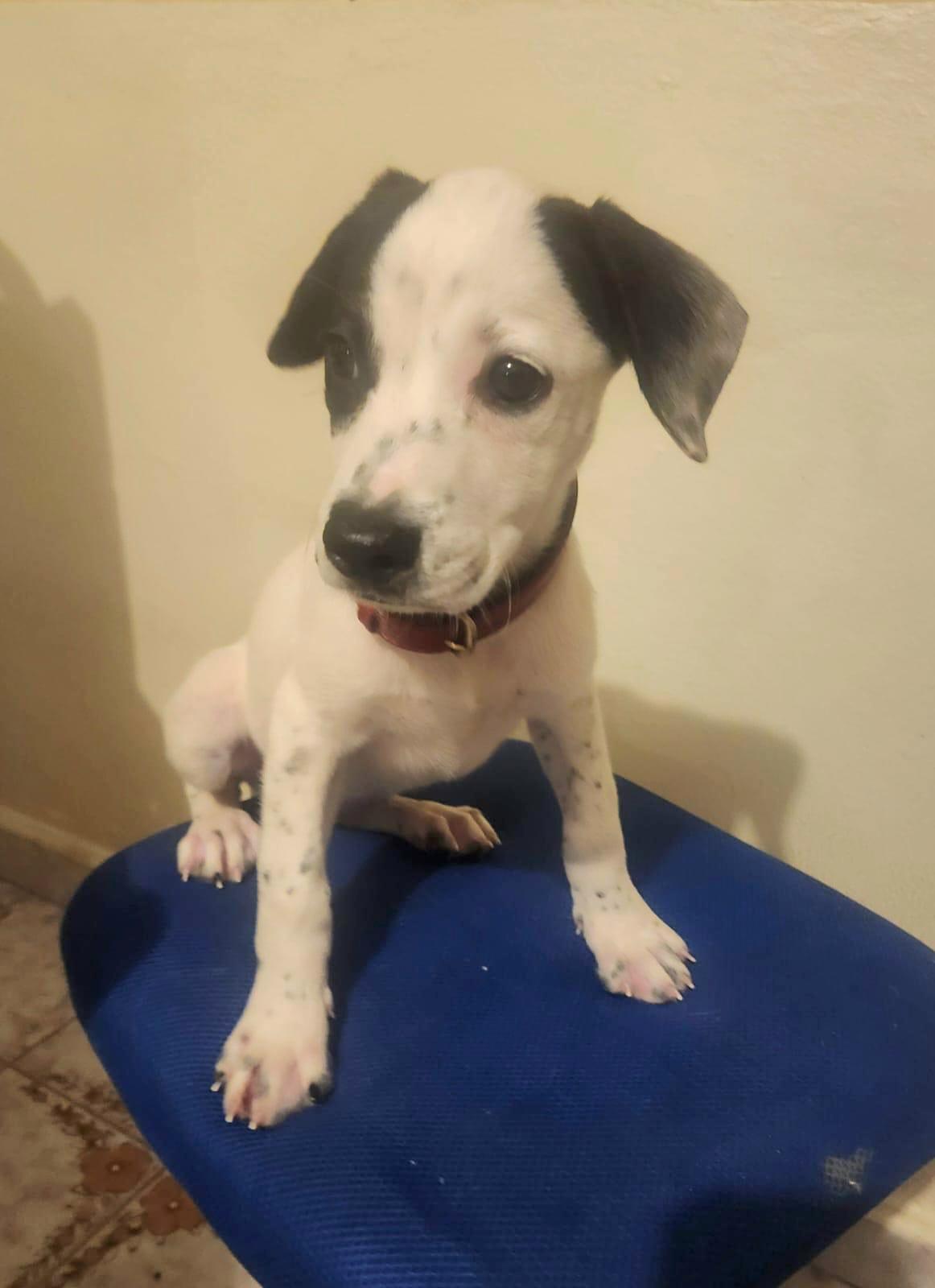 Kasi "your Loyal Bestie." thumbnail 4