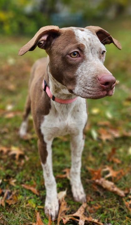 Milo Monroe thumbnail 2