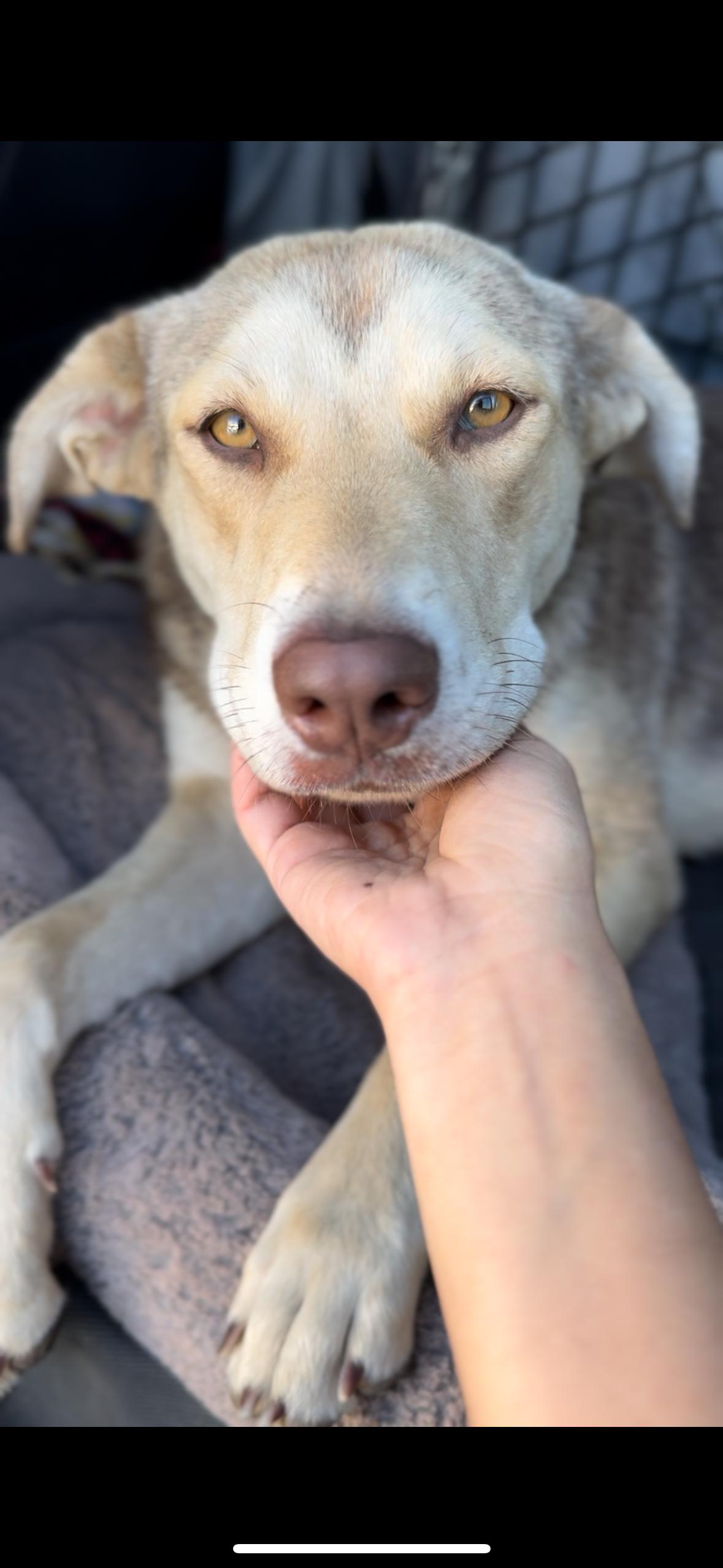 Sheila