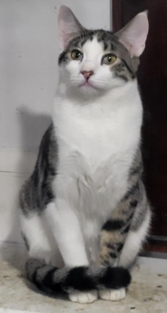 Nick Bonded with Natalie) — thumbnail 3